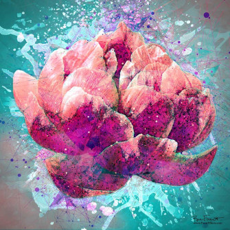 Flower Splash 1 | First of two images of a peony using splashes an a geometric background
