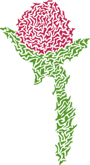 A Rose By Any Other Name | Liquid mosaics of red rose